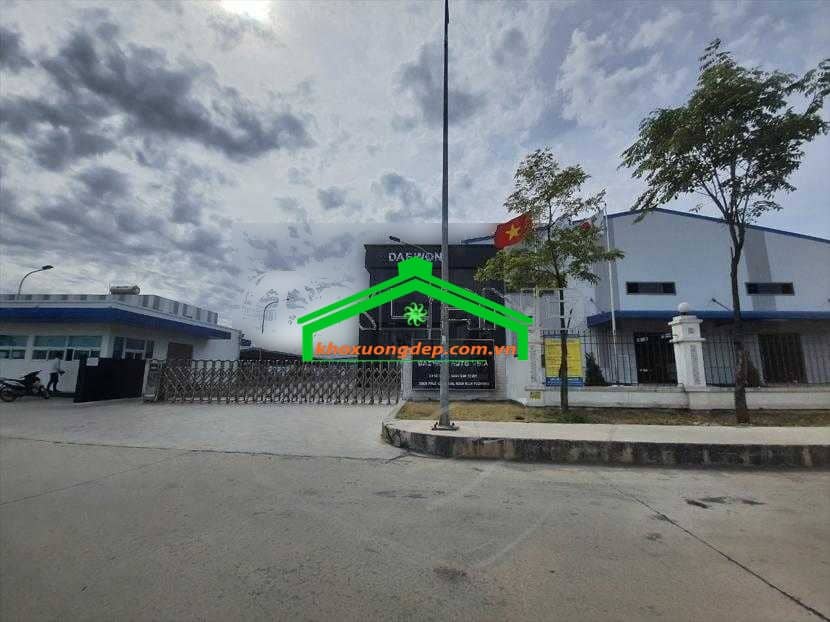Ảnh 11