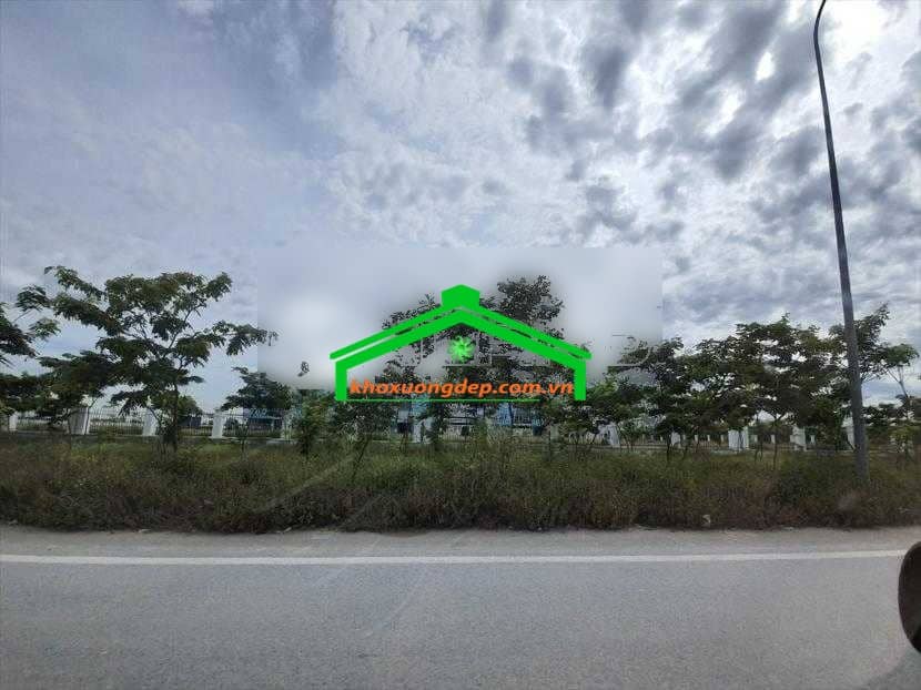 Ảnh 15