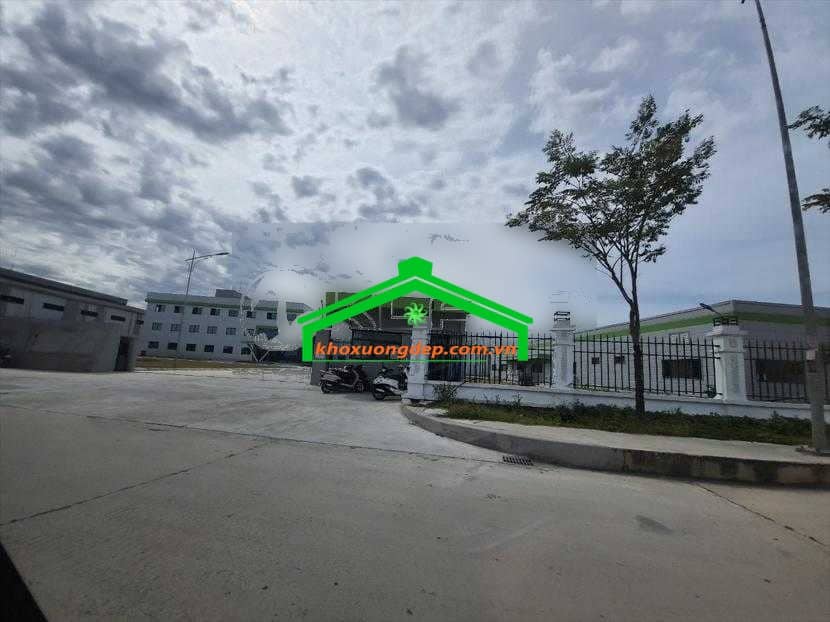 Ảnh 16
