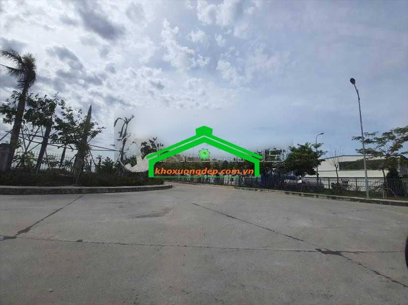 Ảnh 19