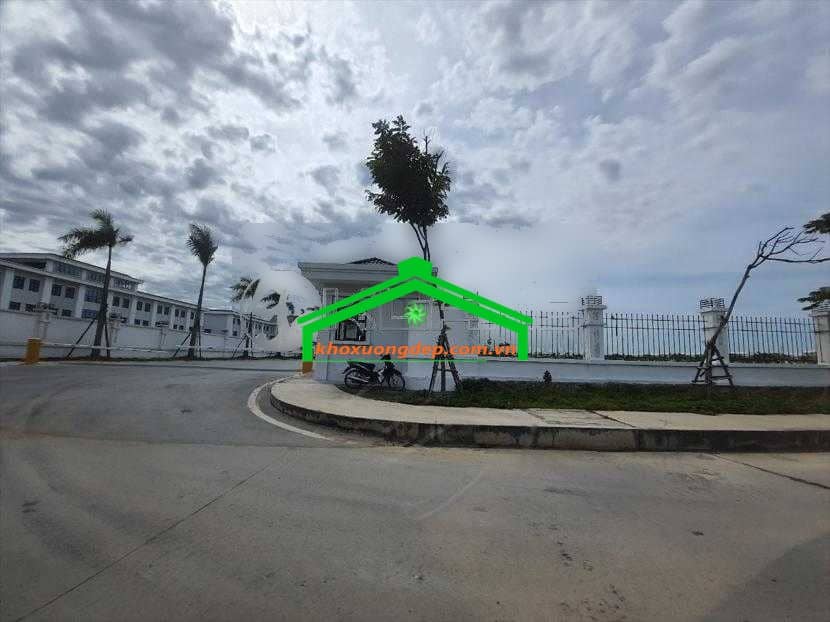 Ảnh 5