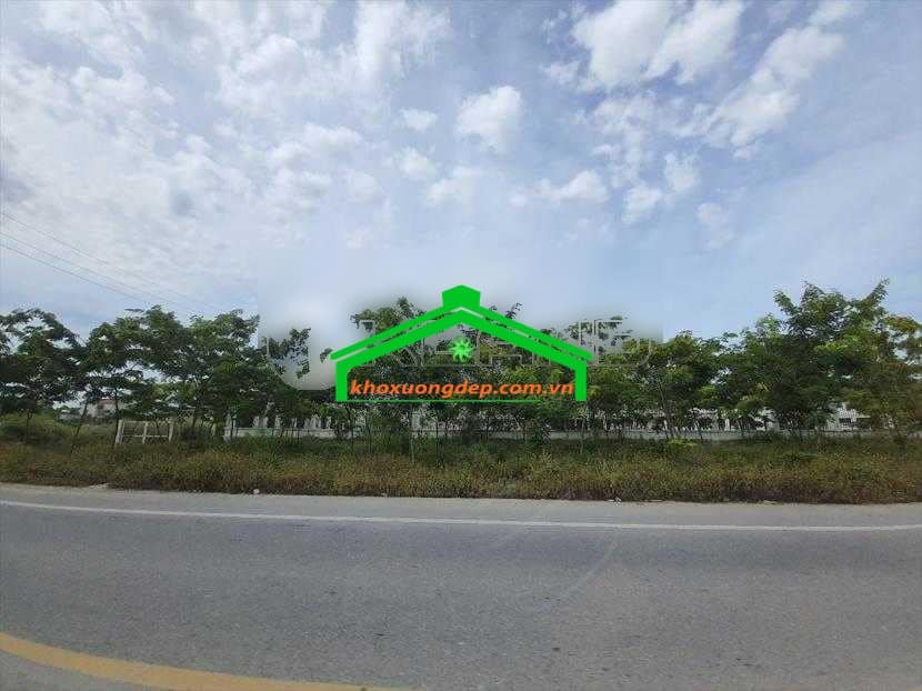 Ảnh 6
