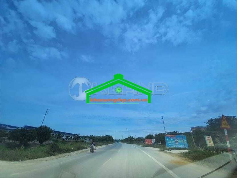 Ảnh 7