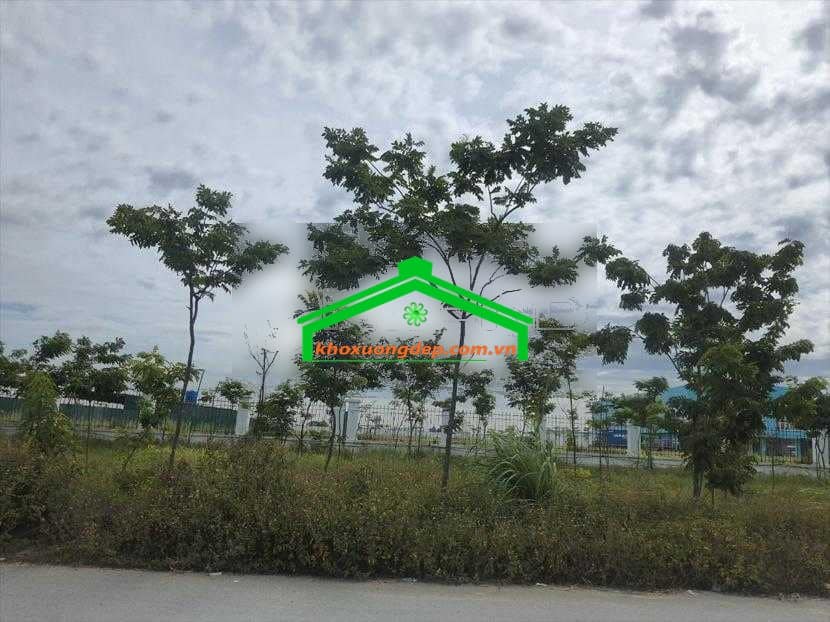 Ảnh 9