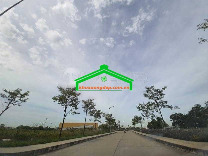 Ảnh 10