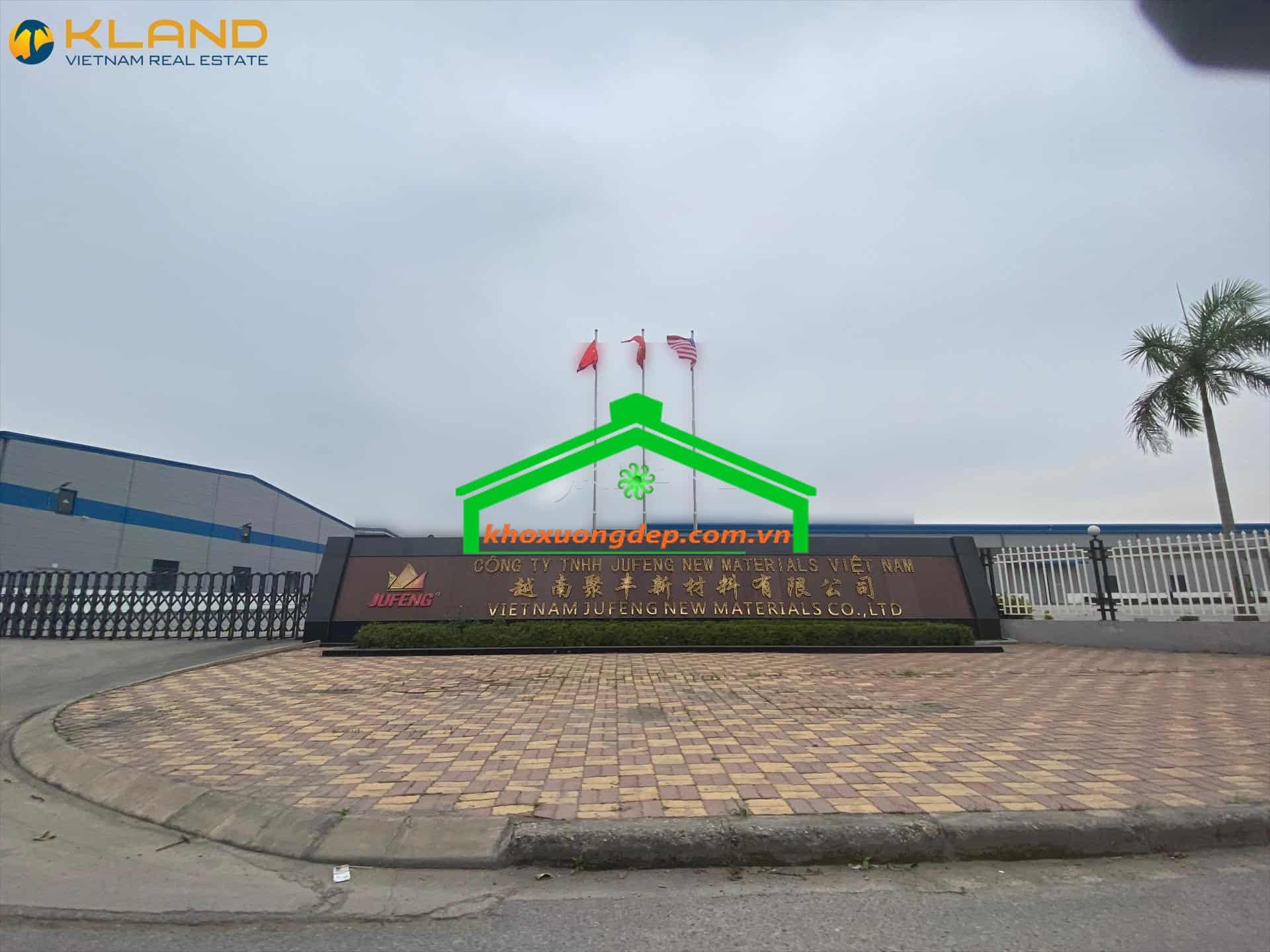 Ảnh 11