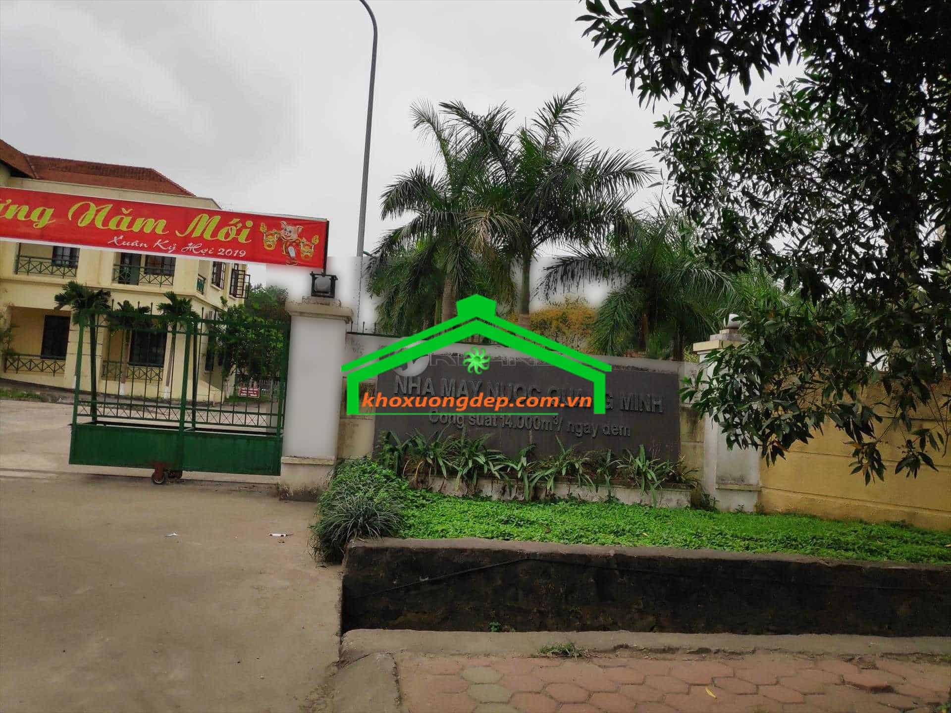Ảnh 6