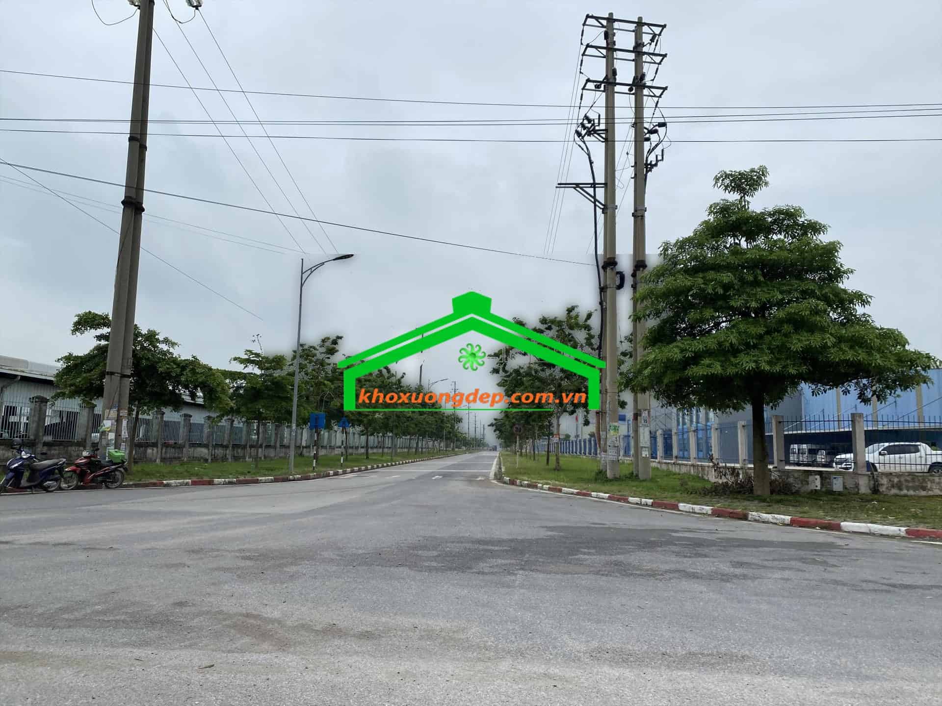 Ảnh 4