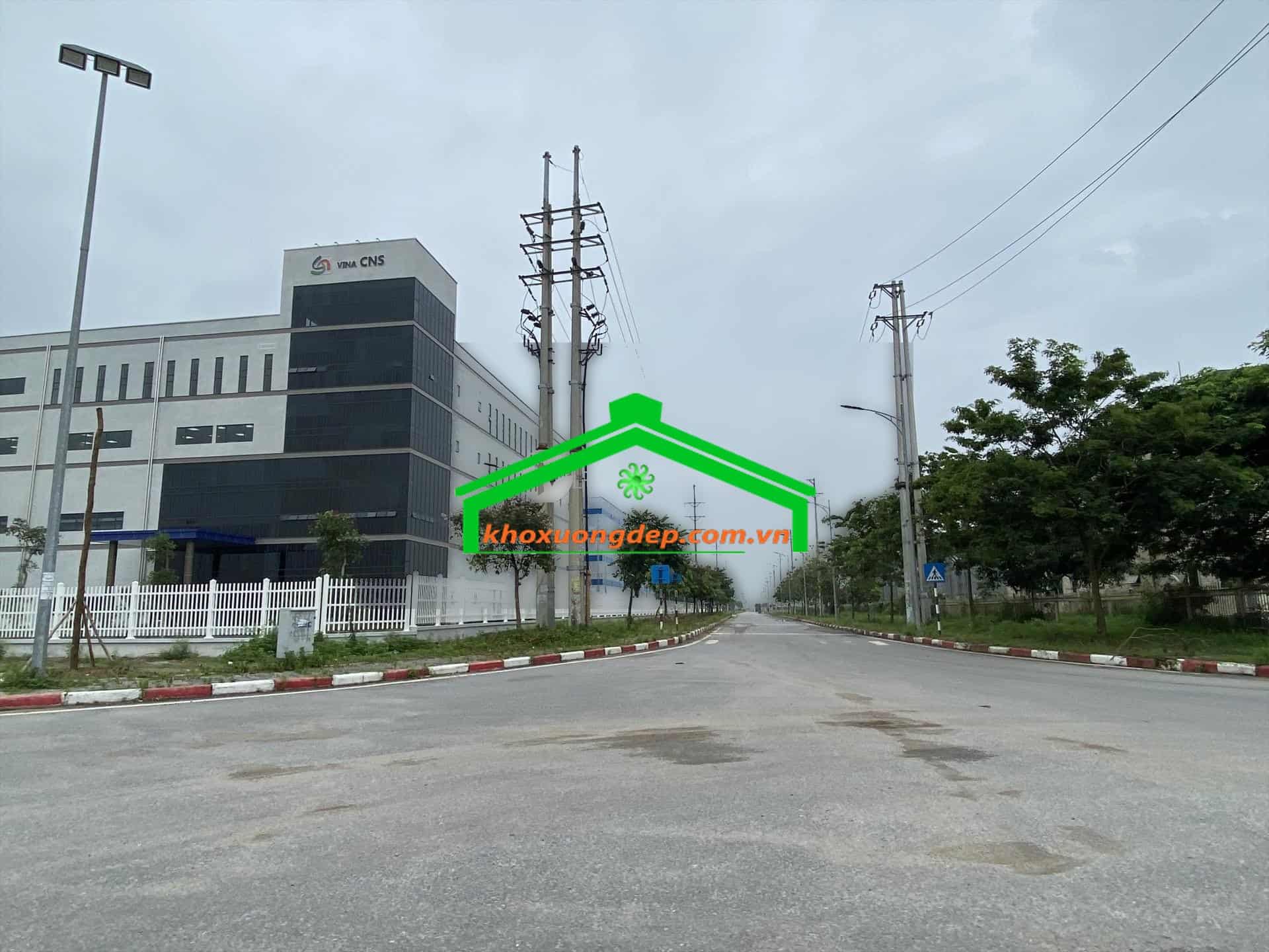 Ảnh 5