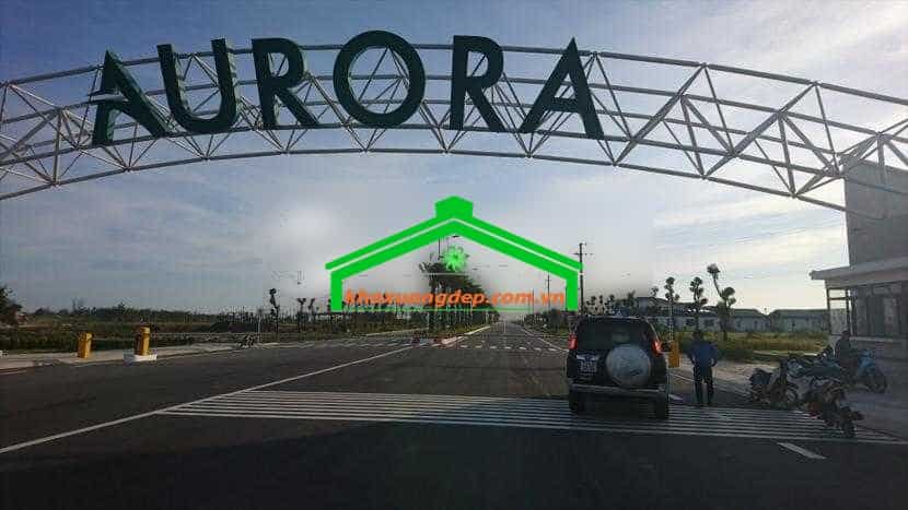 Ảnh 9