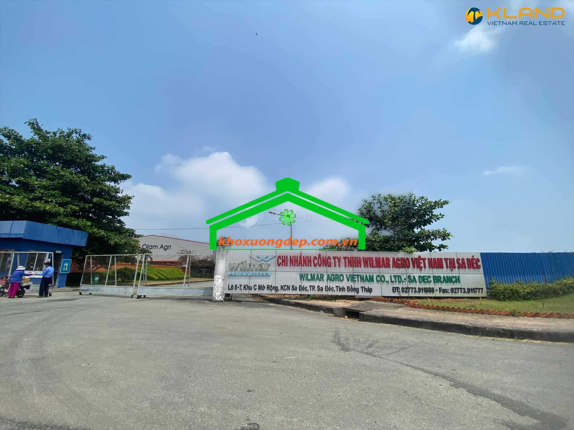 Ảnh 12