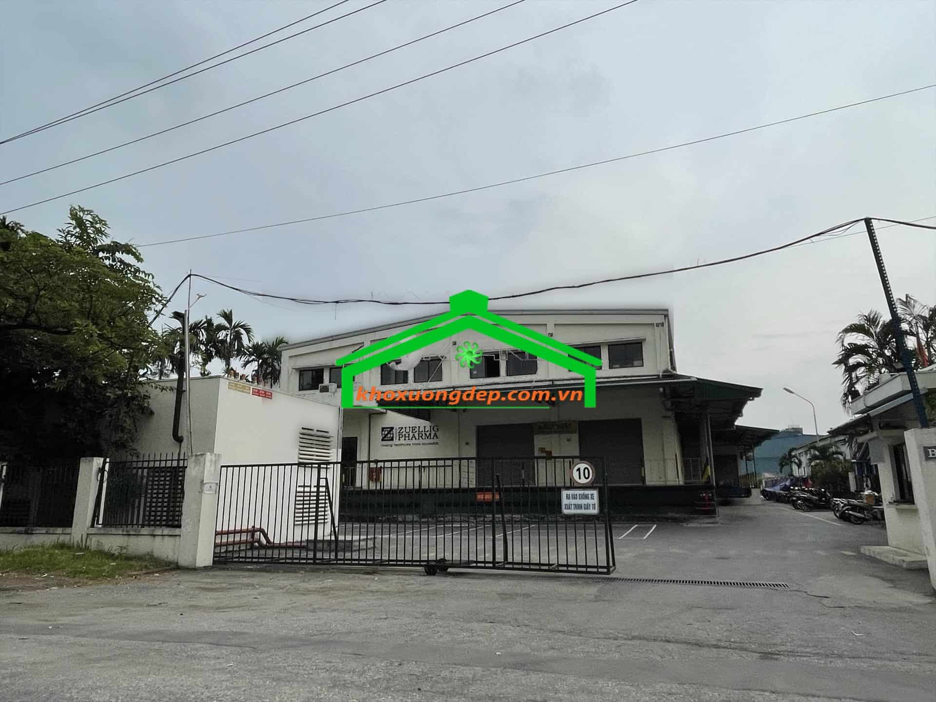 Ảnh 11