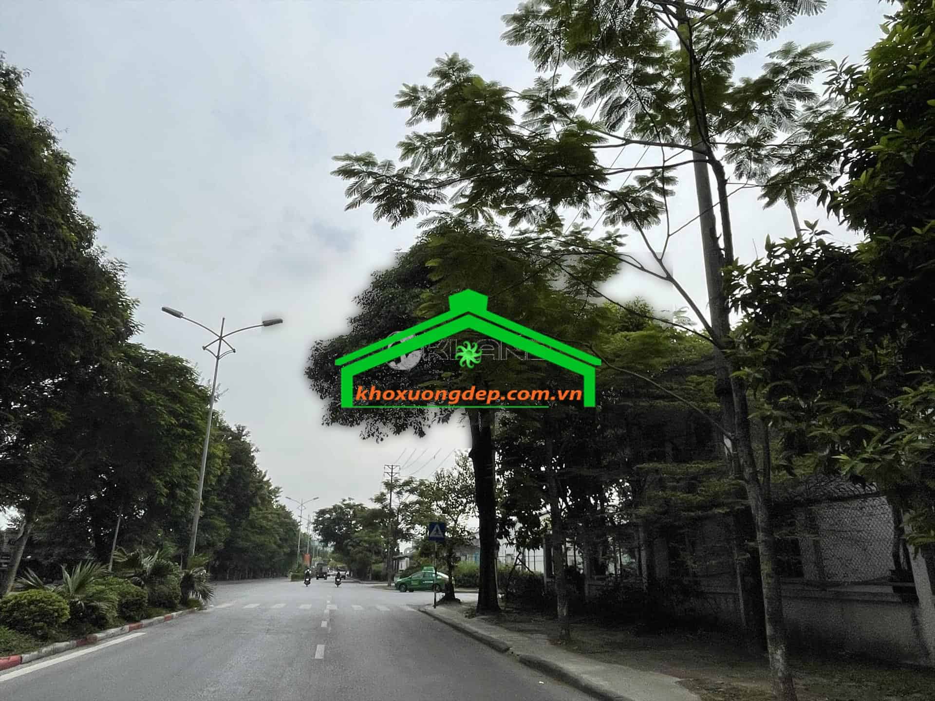 Ảnh 9