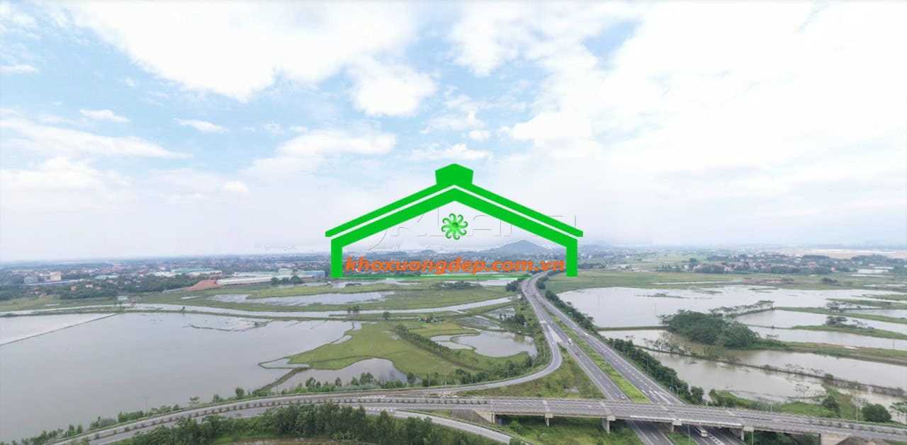 Ảnh 6