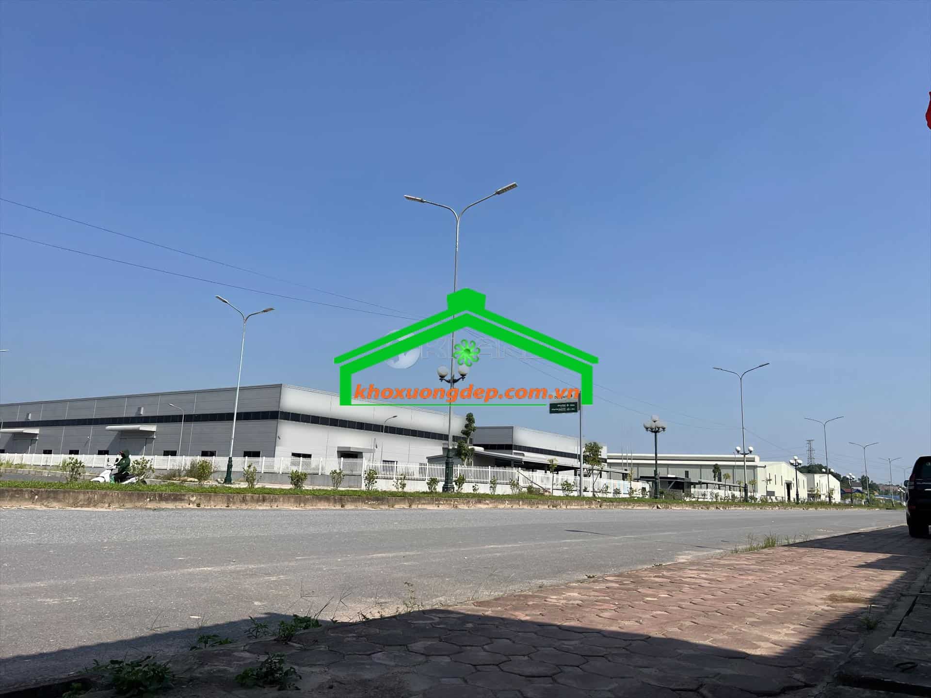Ảnh 6