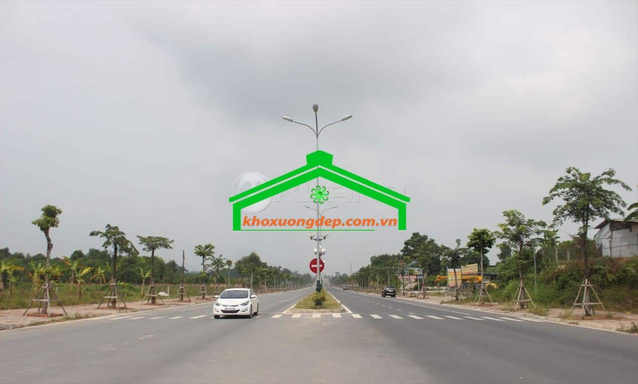 Ảnh 8