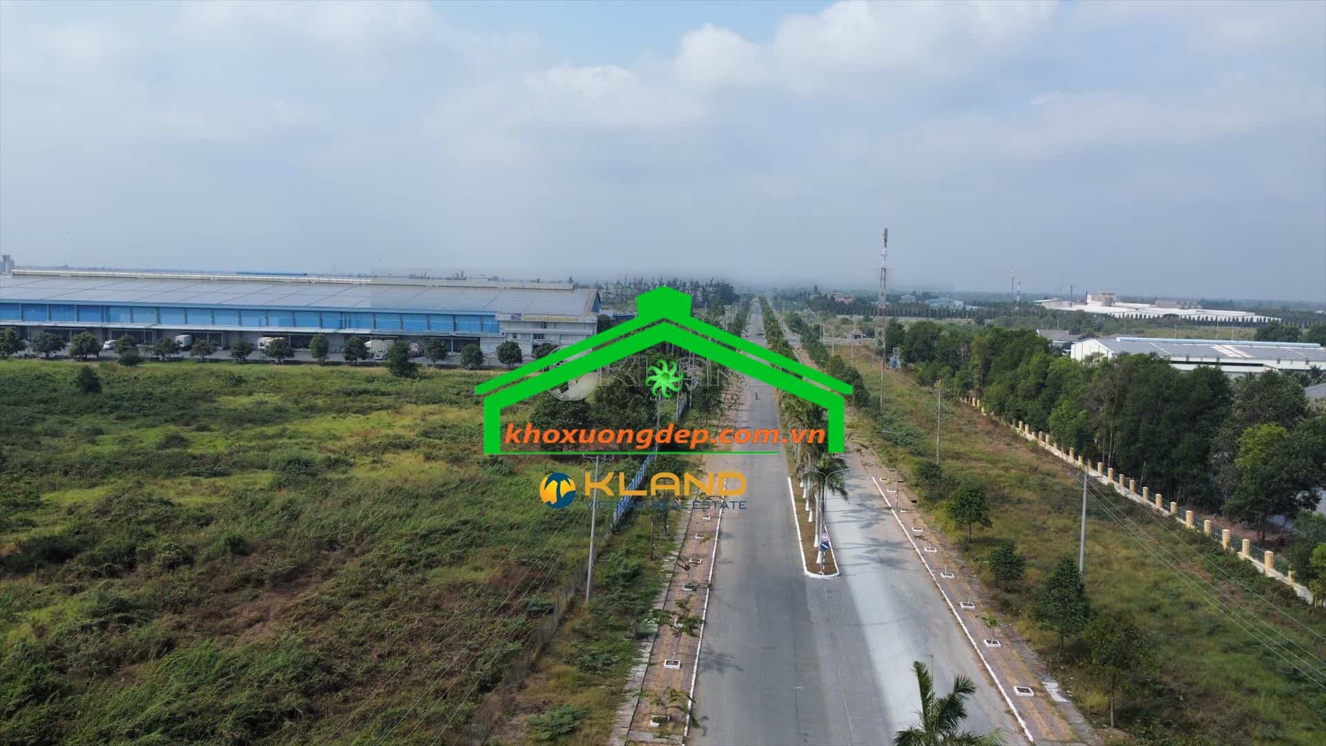Ảnh 7