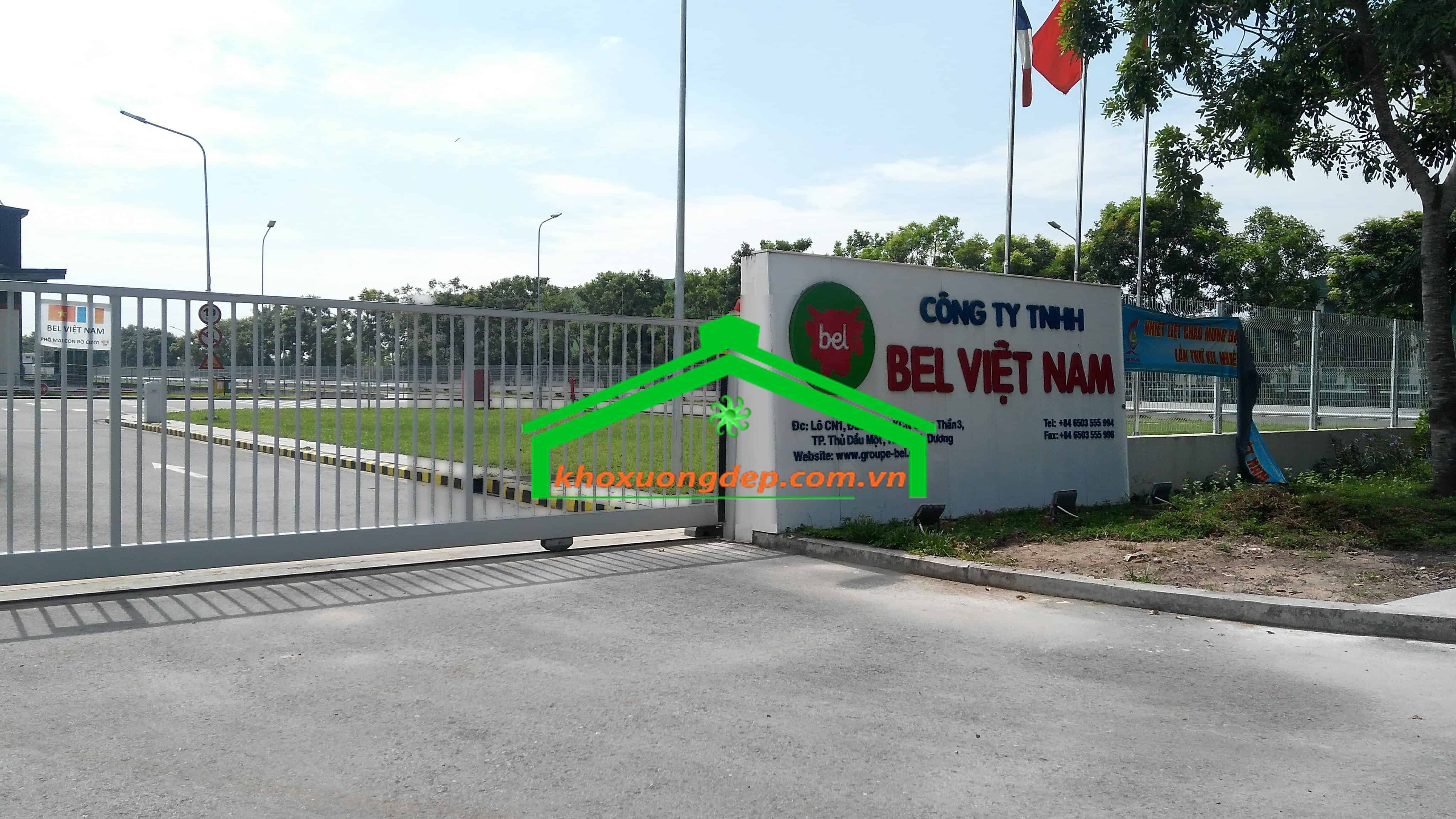Ảnh 13