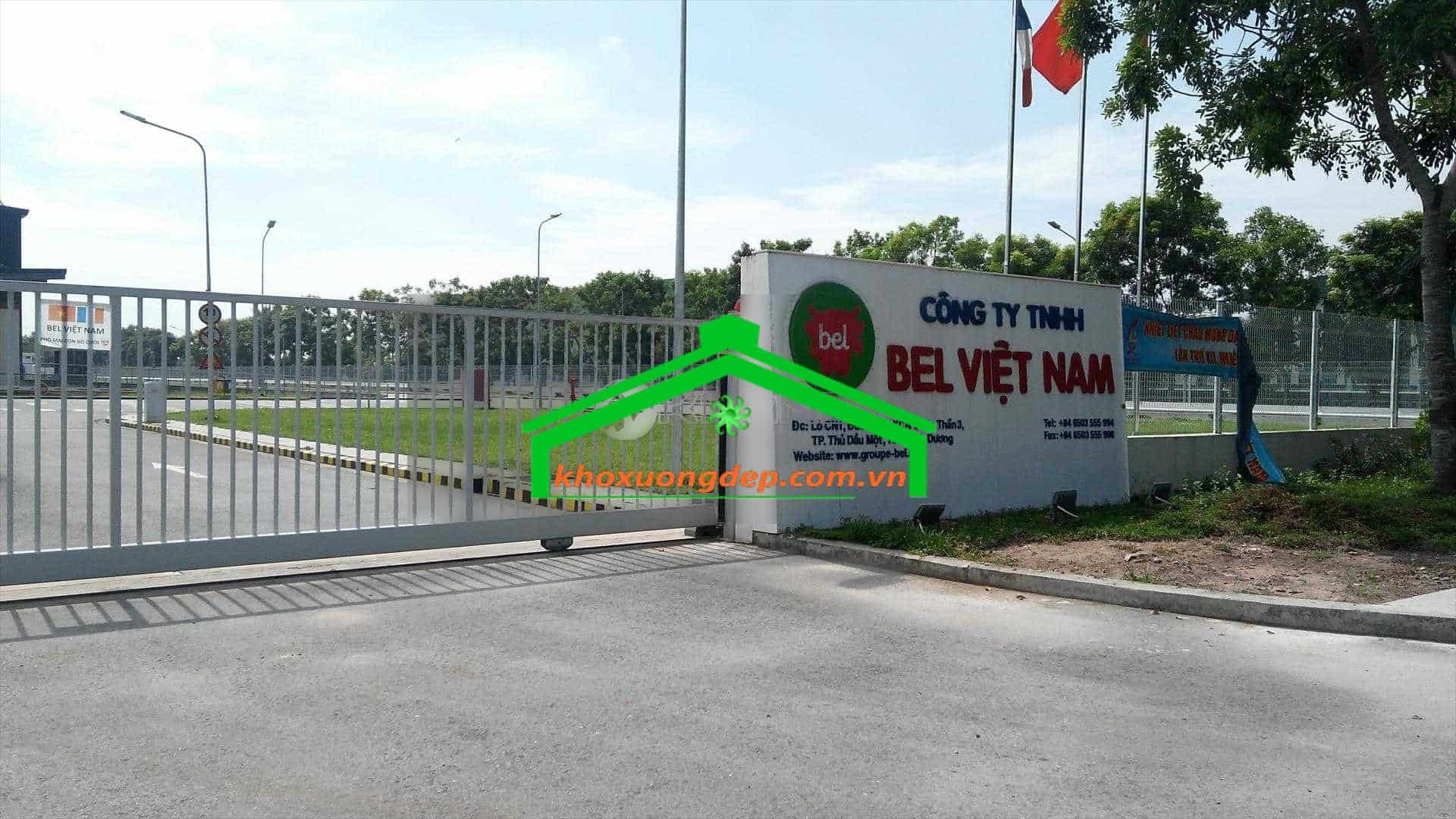 Ảnh 10
