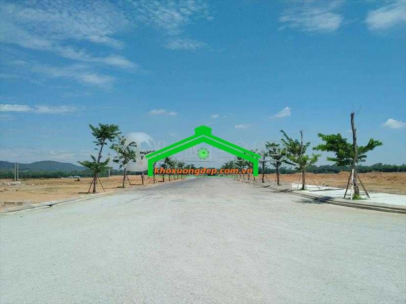 Ảnh 12