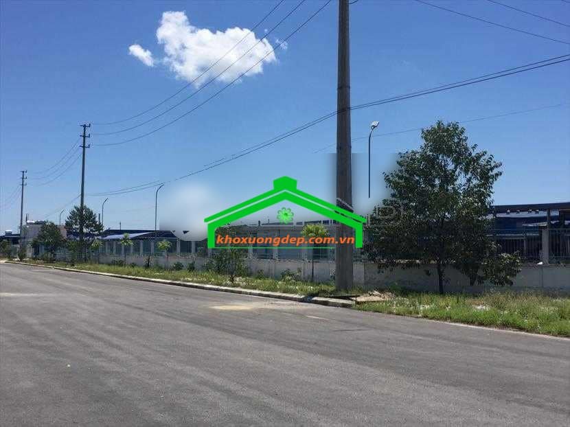 Ảnh 3