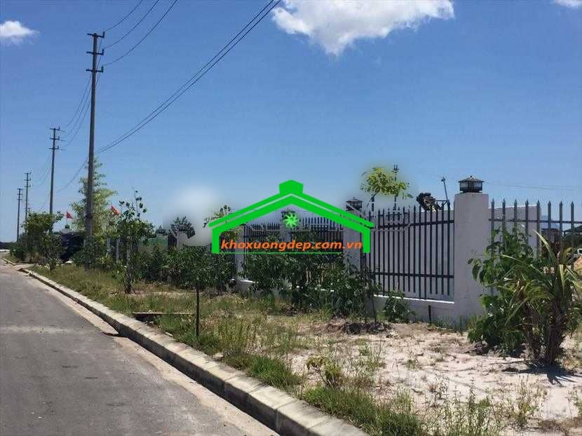 Ảnh 4