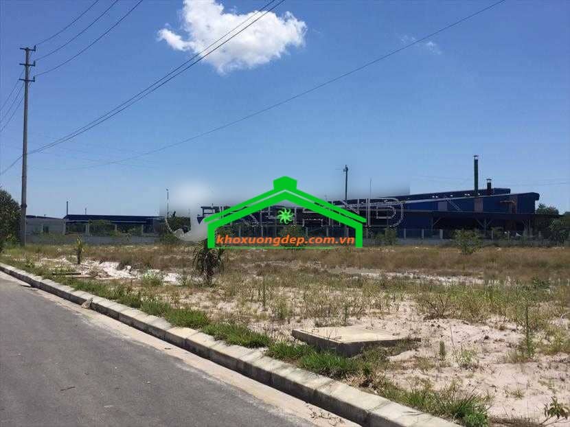 Ảnh 9