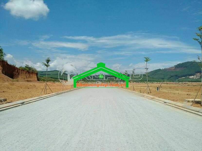 Ảnh 10