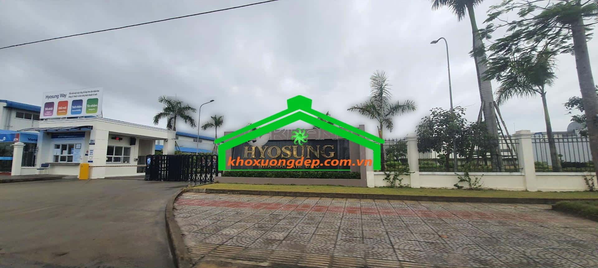 Ảnh 15