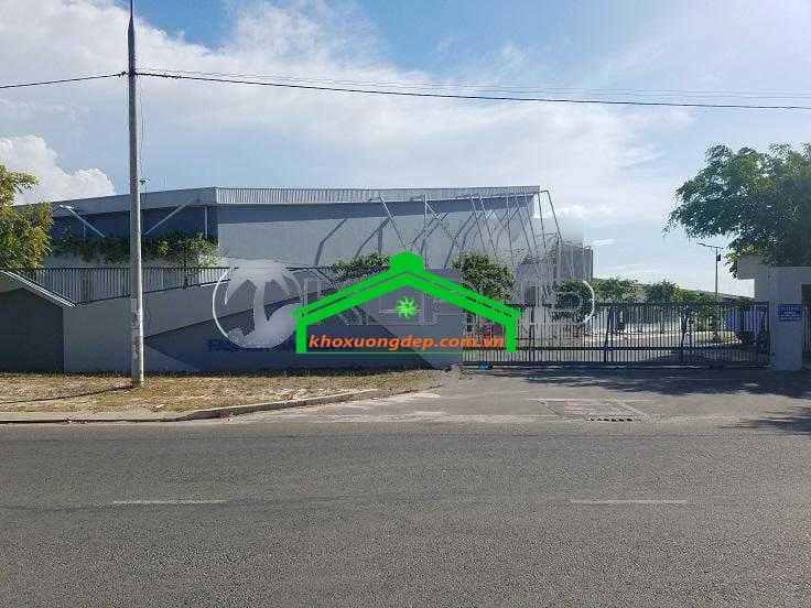 Ảnh 8