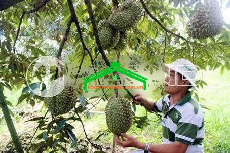 Ảnh 6