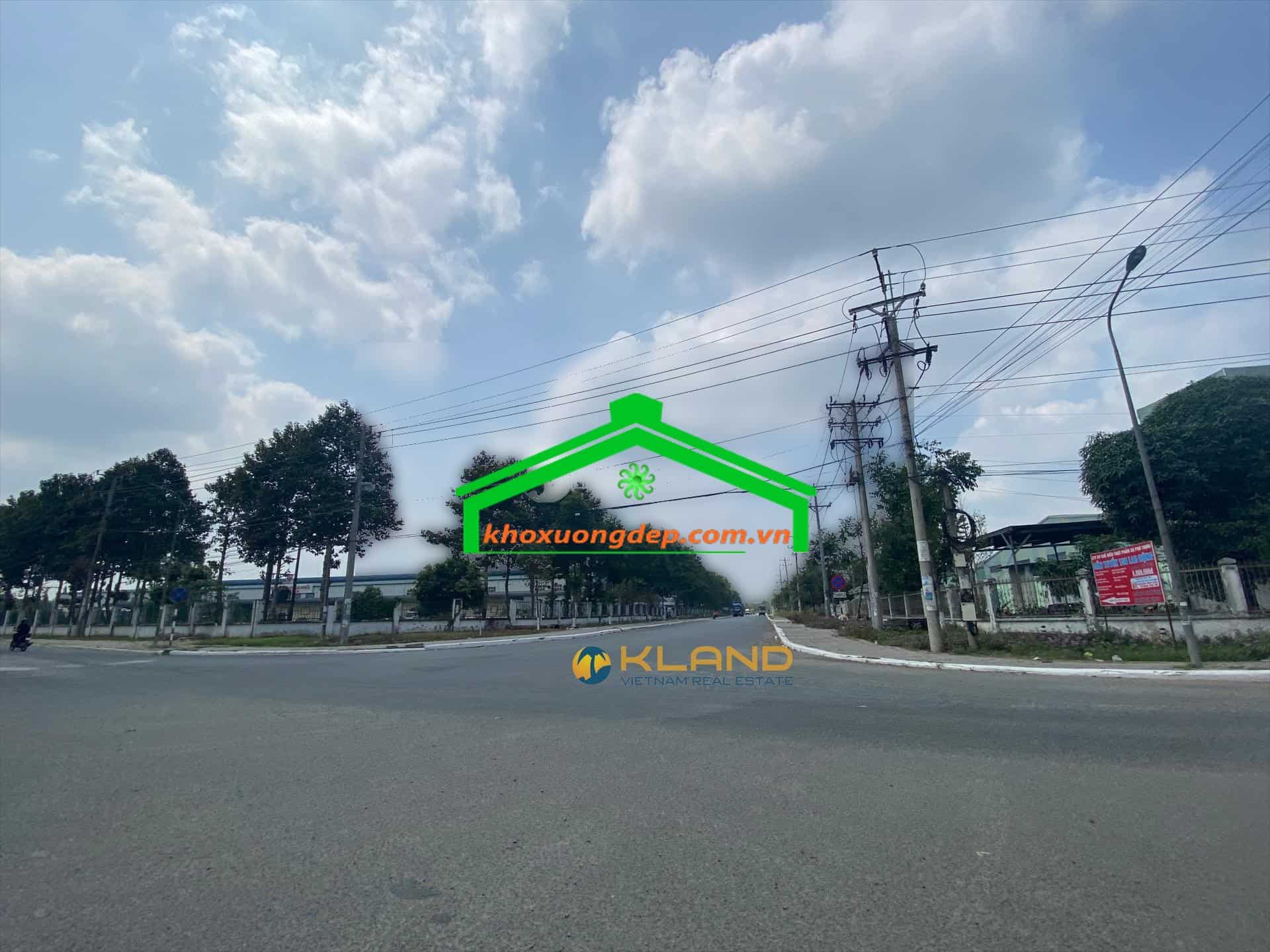 Ảnh 11