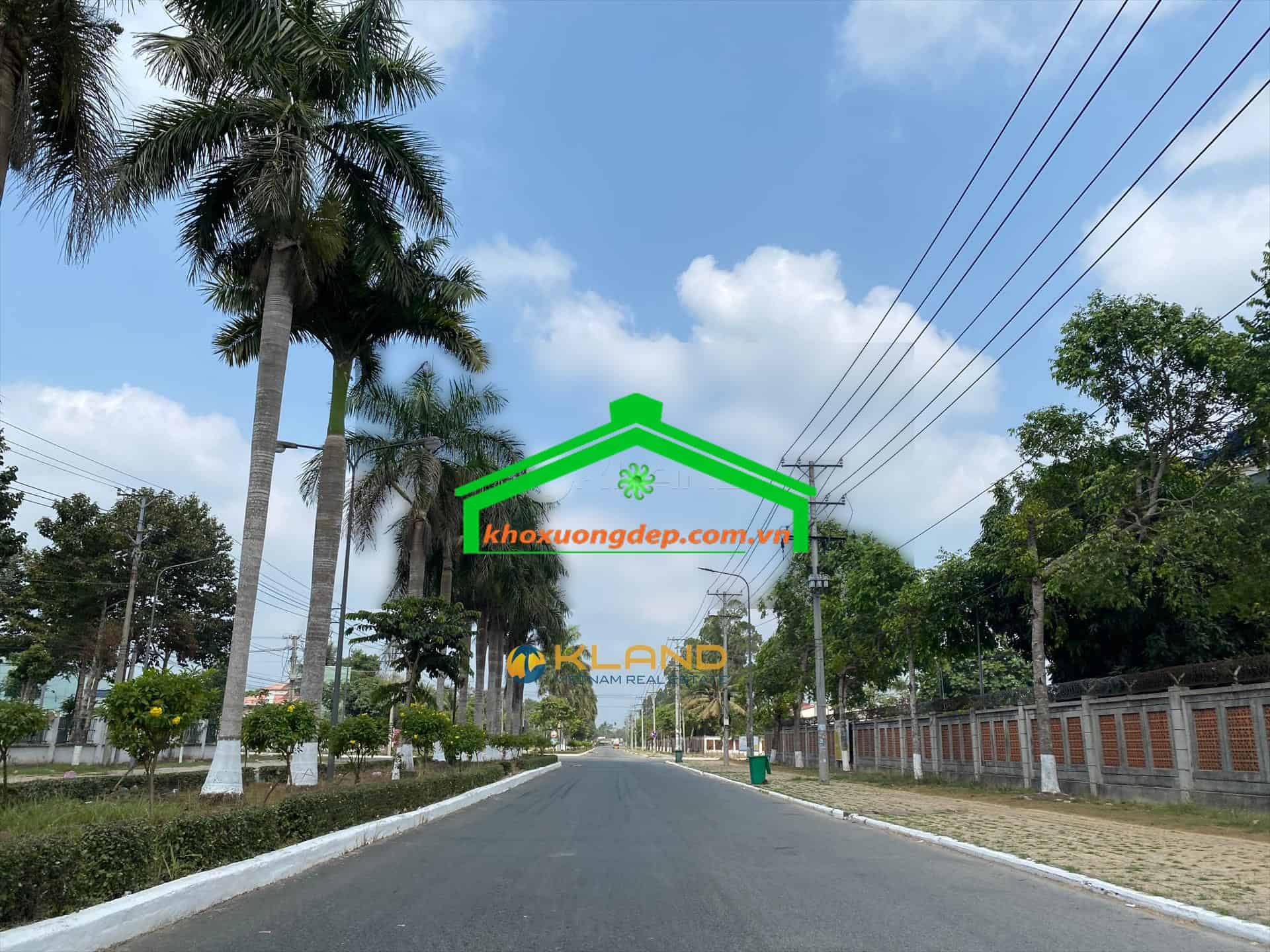 Ảnh 8