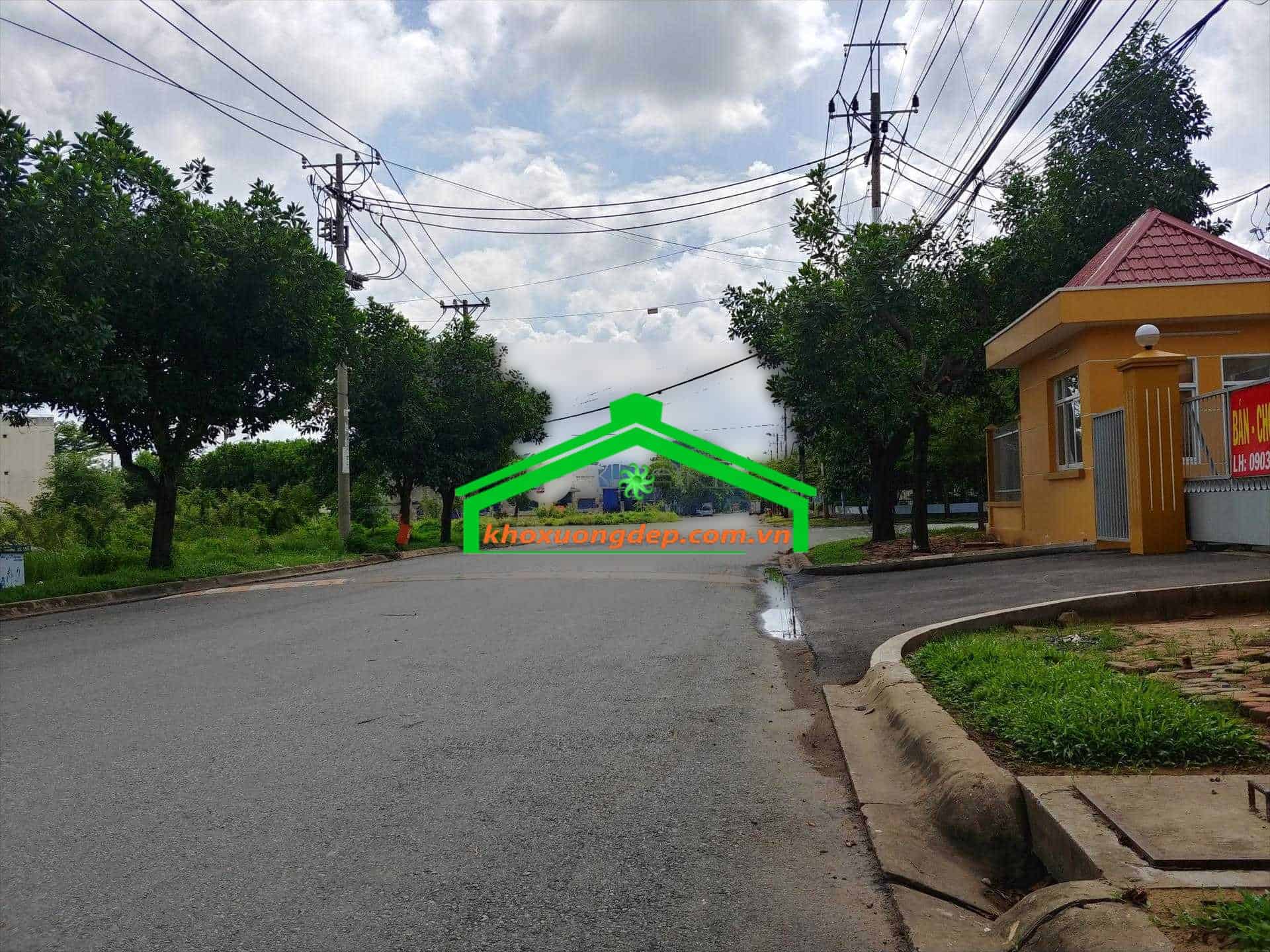 Ảnh 6