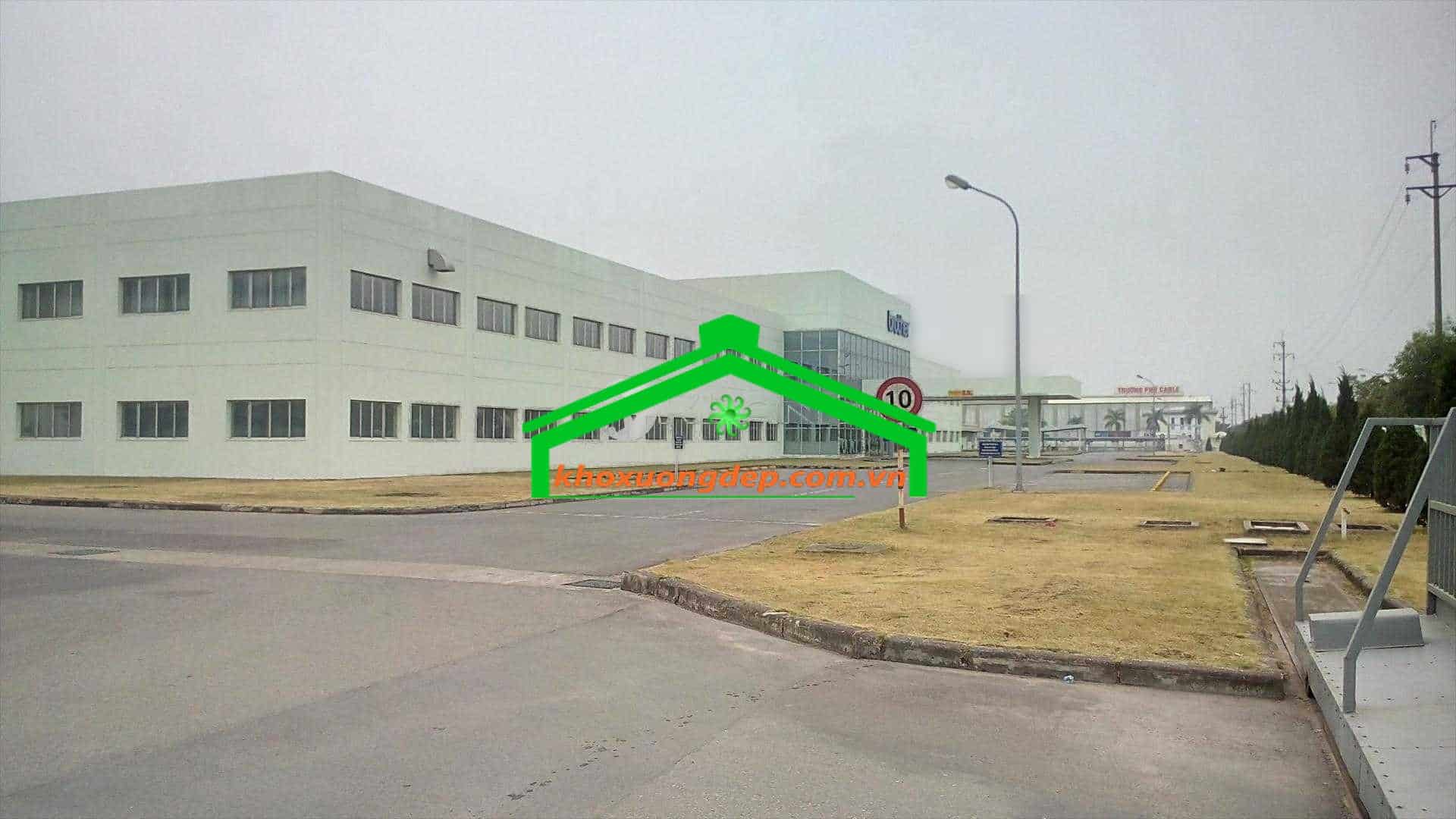 Ảnh 9