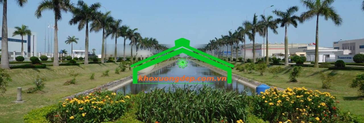 Ảnh 11