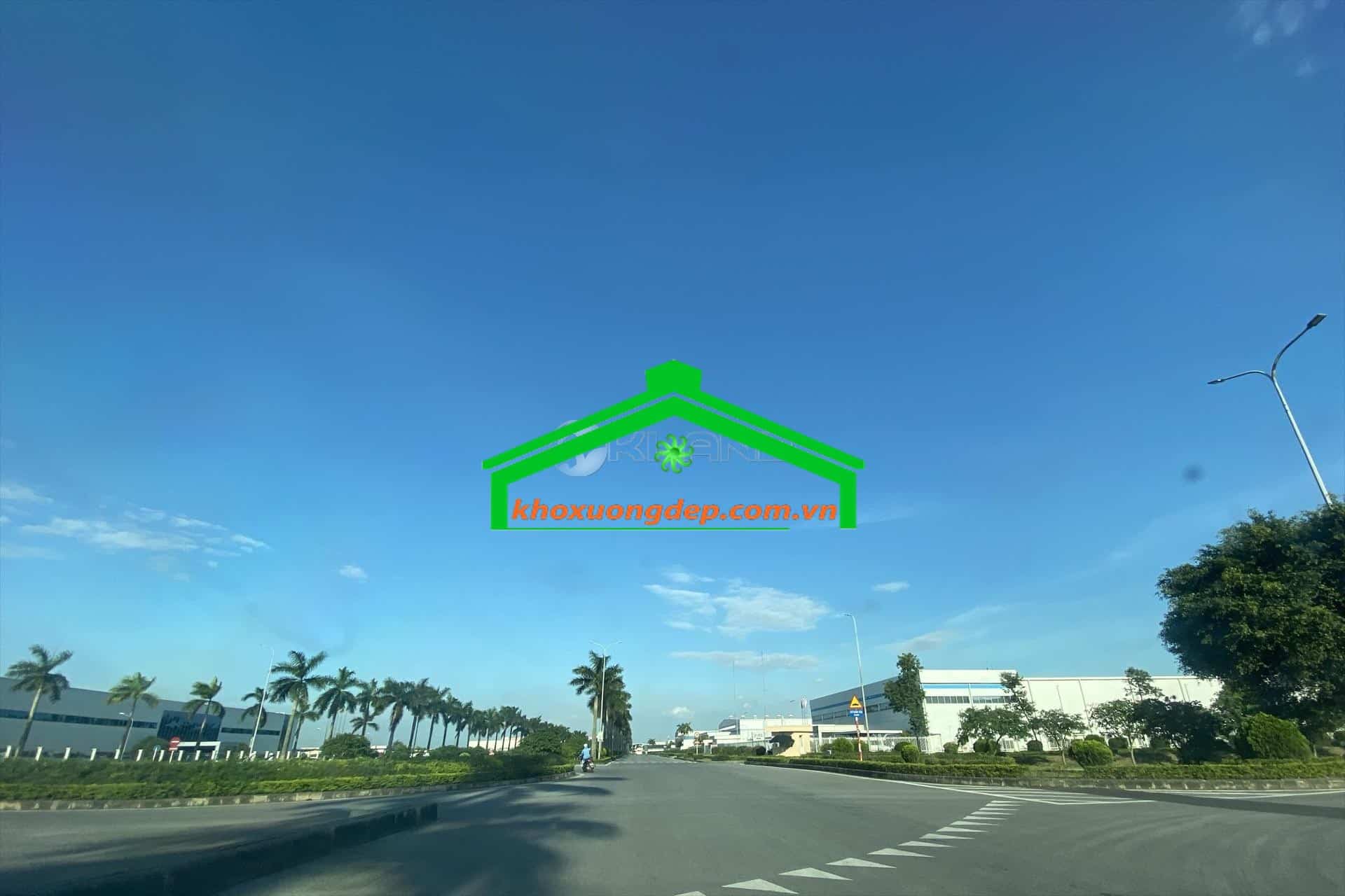 Ảnh 8