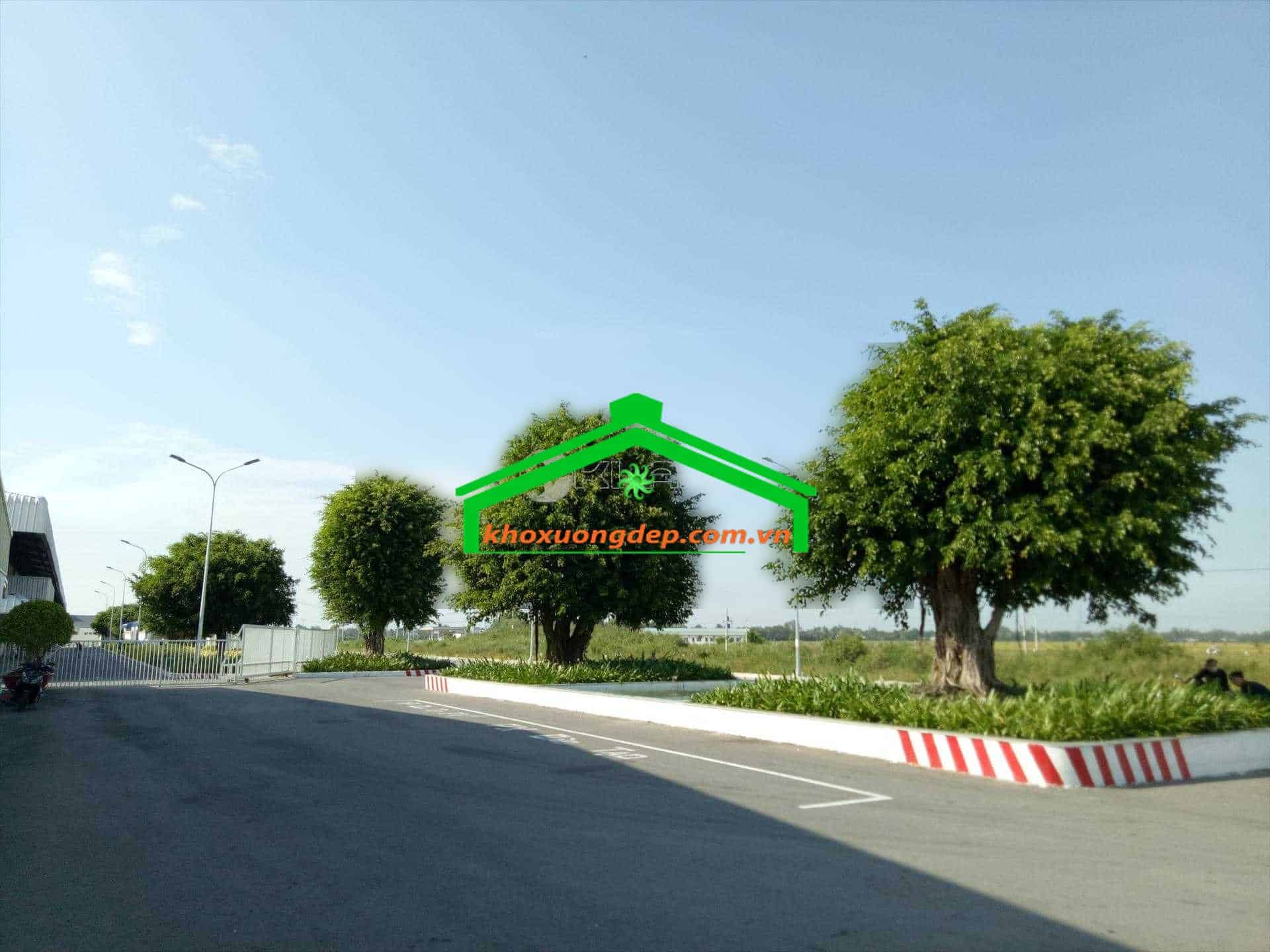 Ảnh 4
