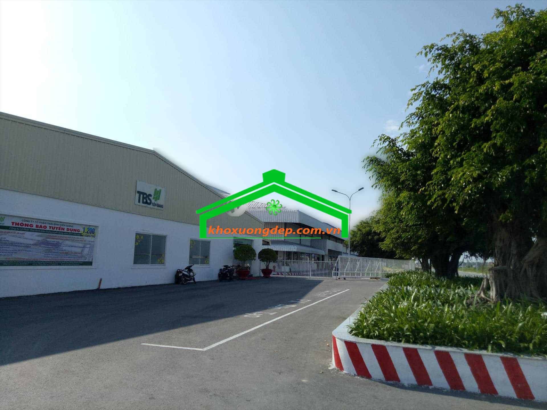 Ảnh 5
