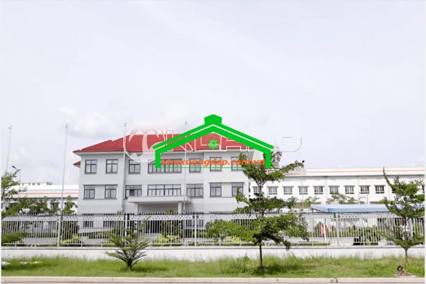 Ảnh 7