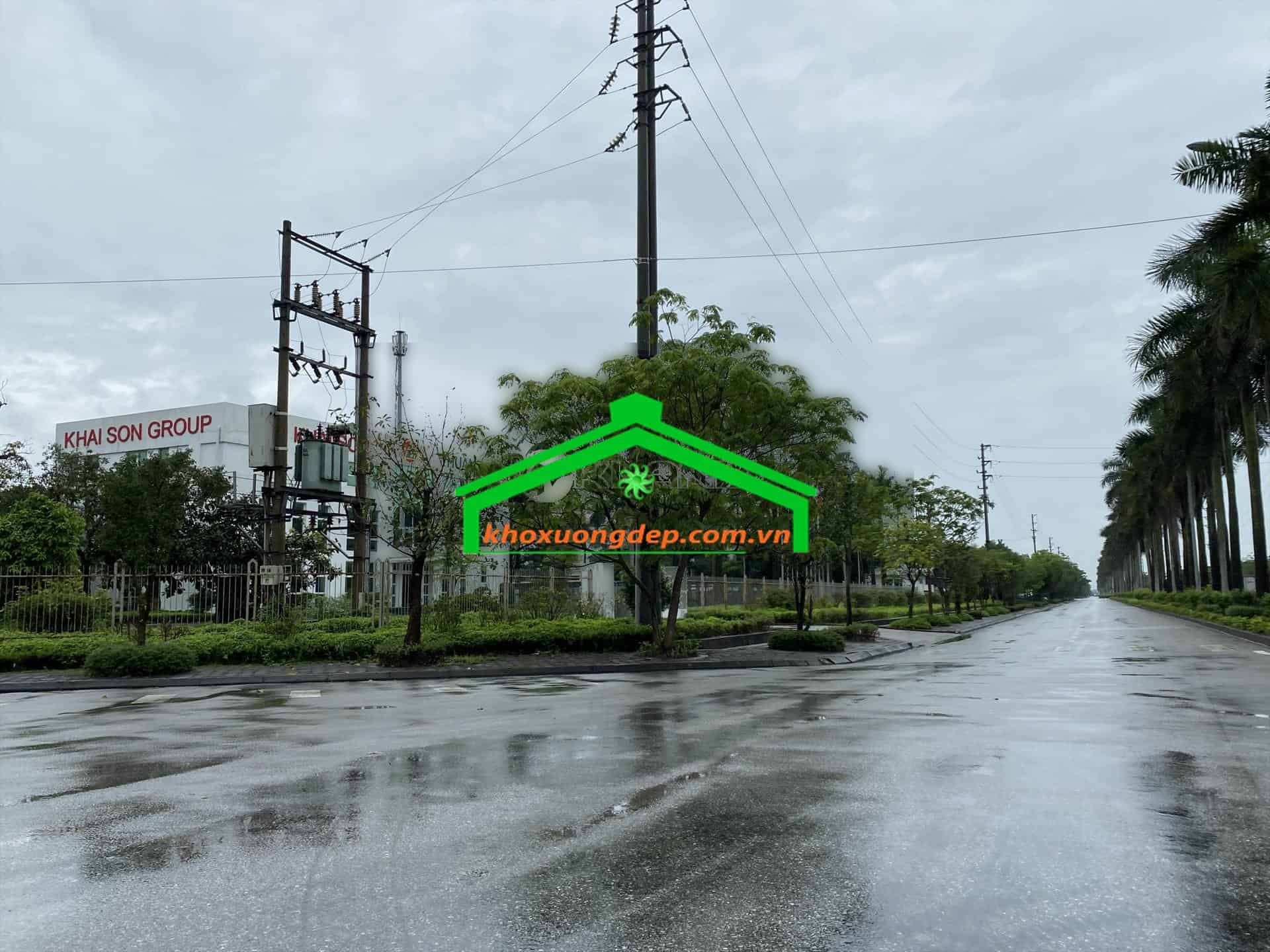 Ảnh 5