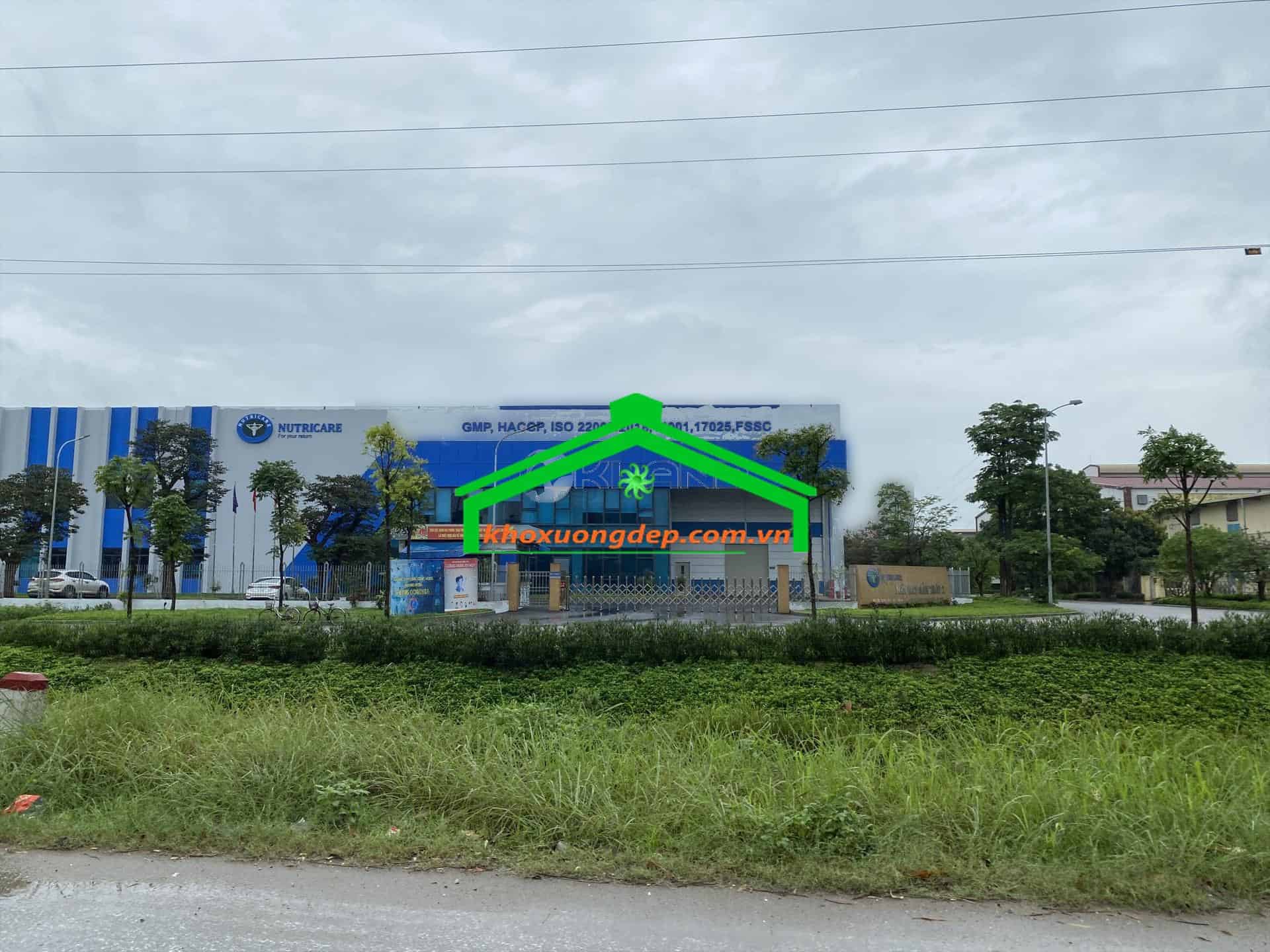 Ảnh 6