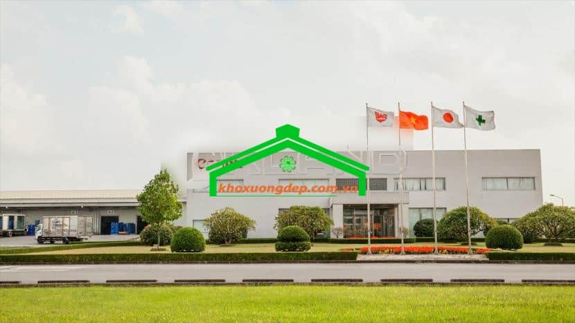Ảnh 7