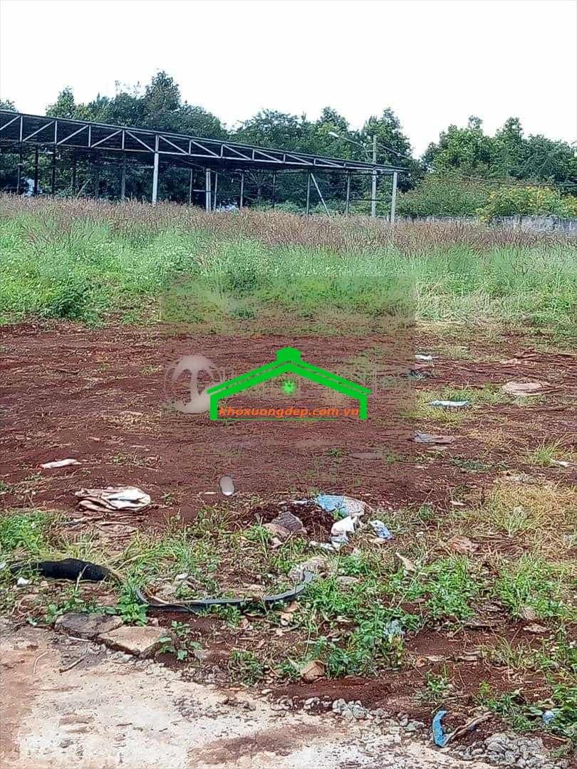 Ảnh 9