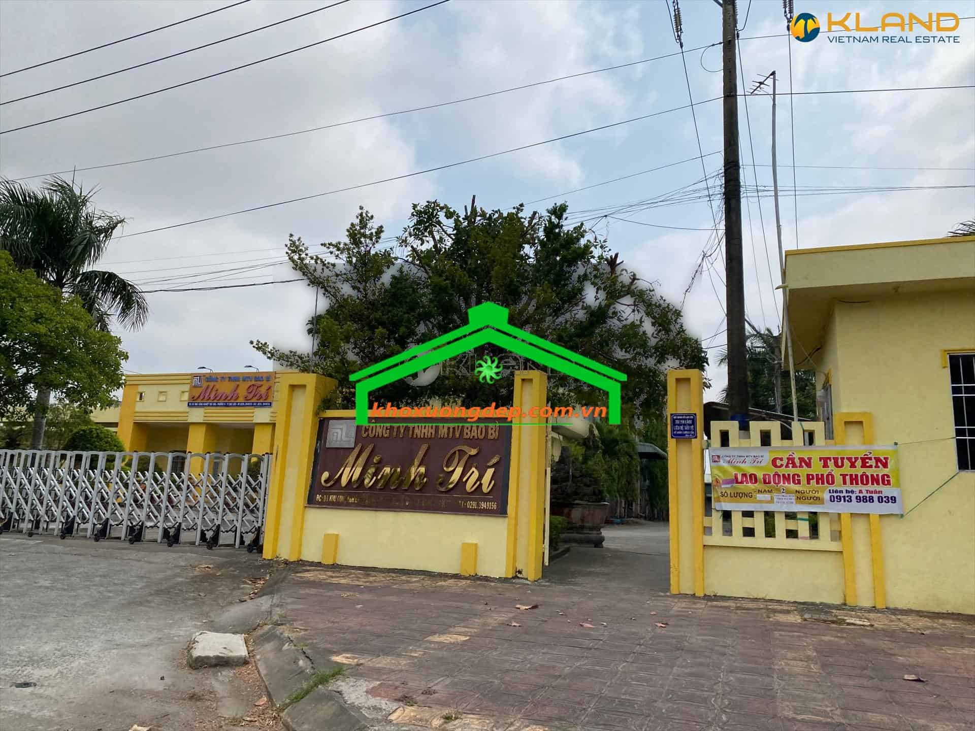 Ảnh 10