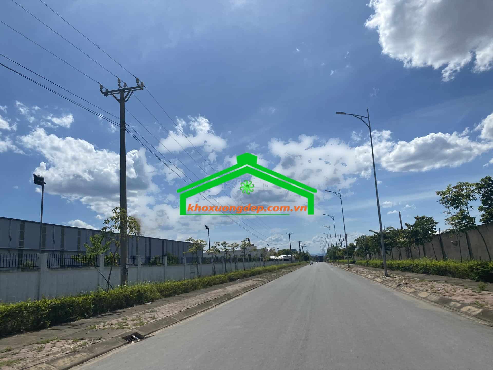 Ảnh 3