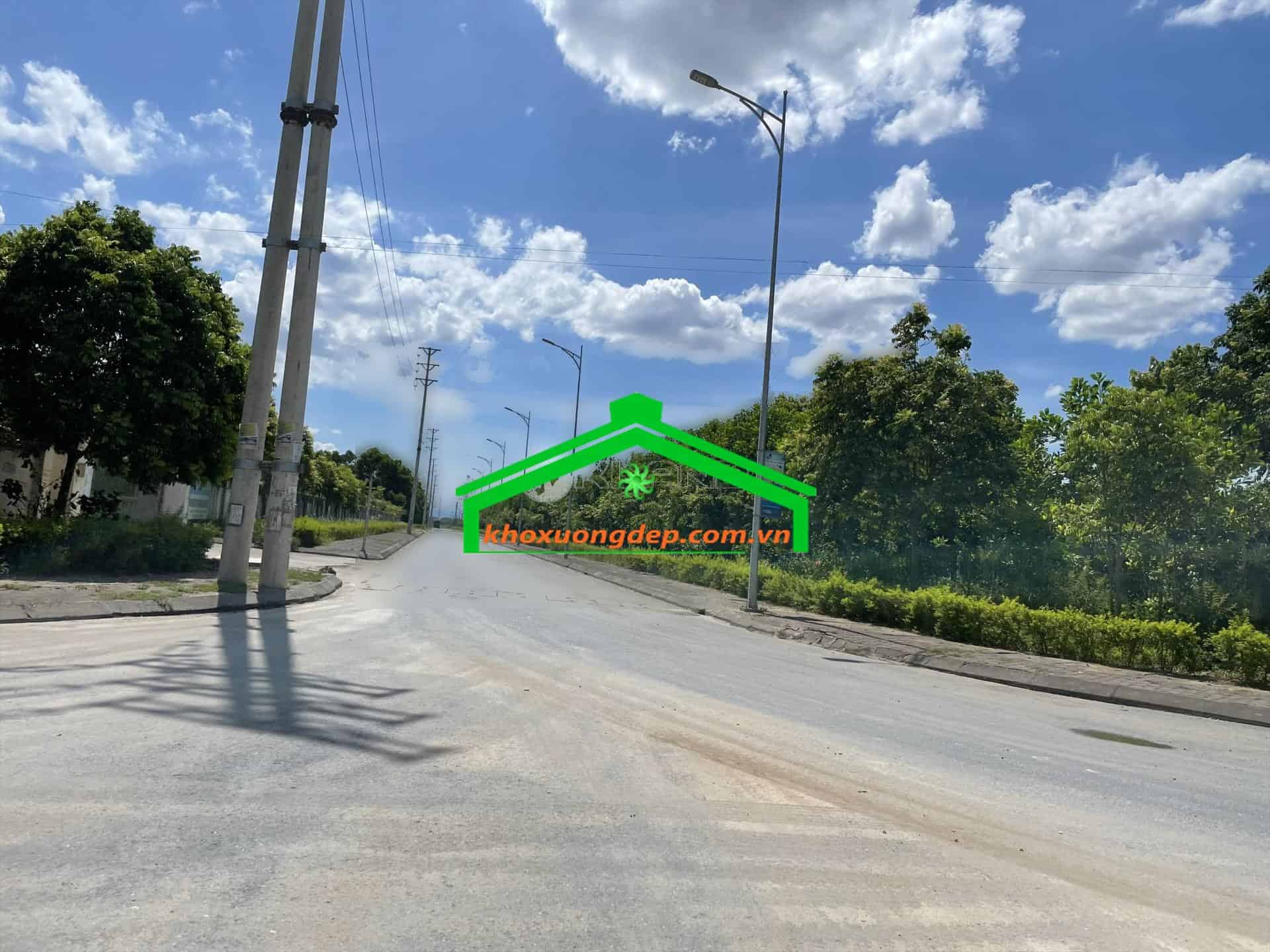 Ảnh 5