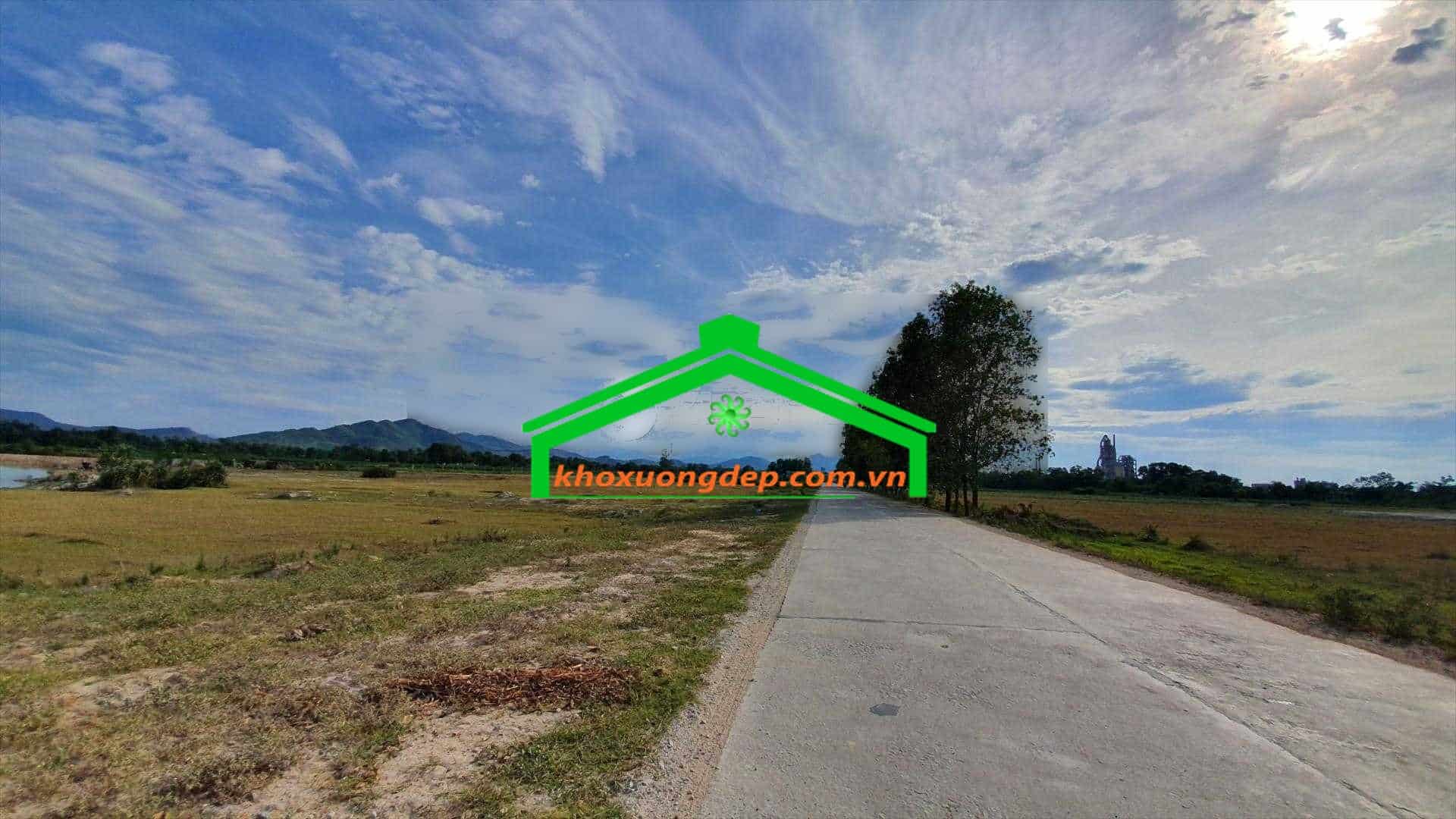 Ảnh 6