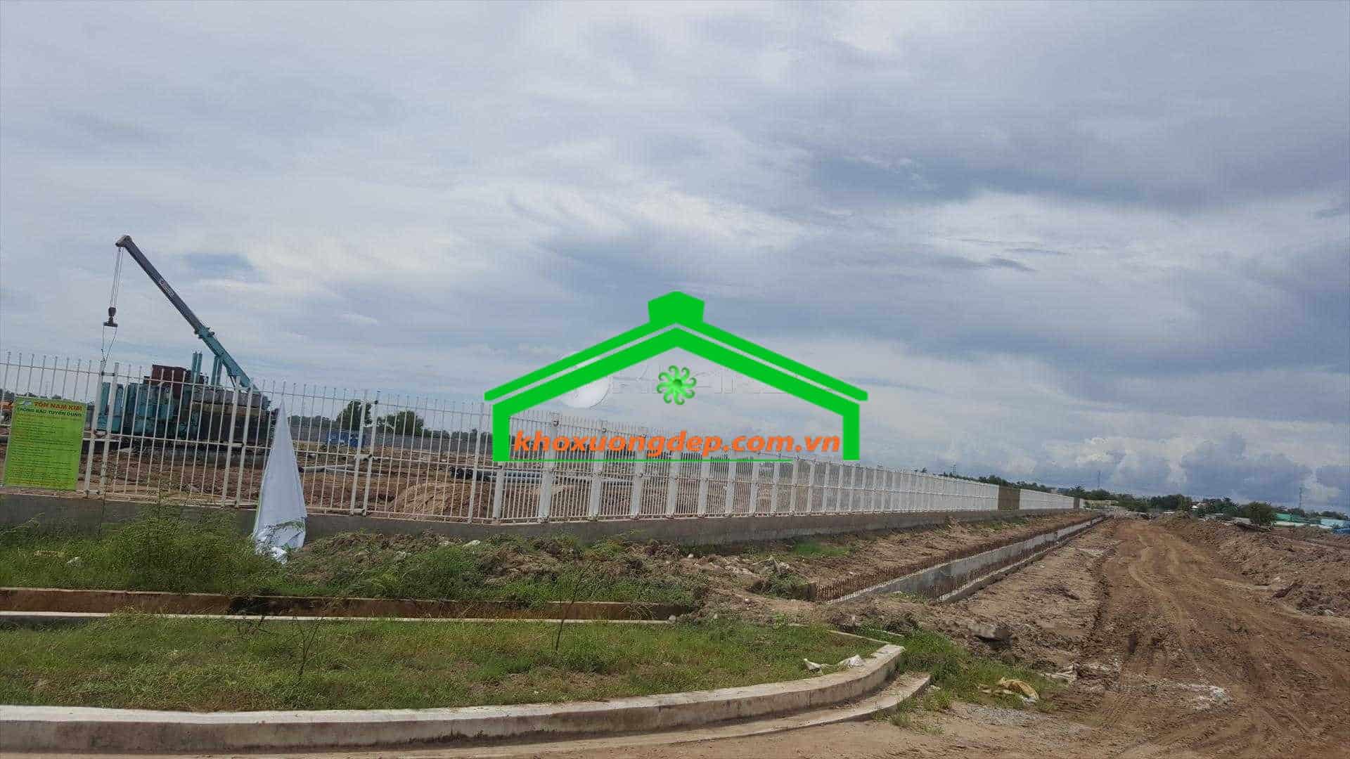 Ảnh 8