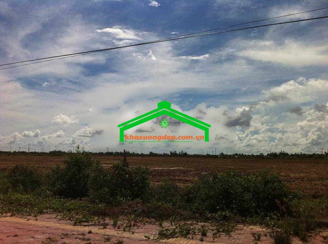 Ảnh 10